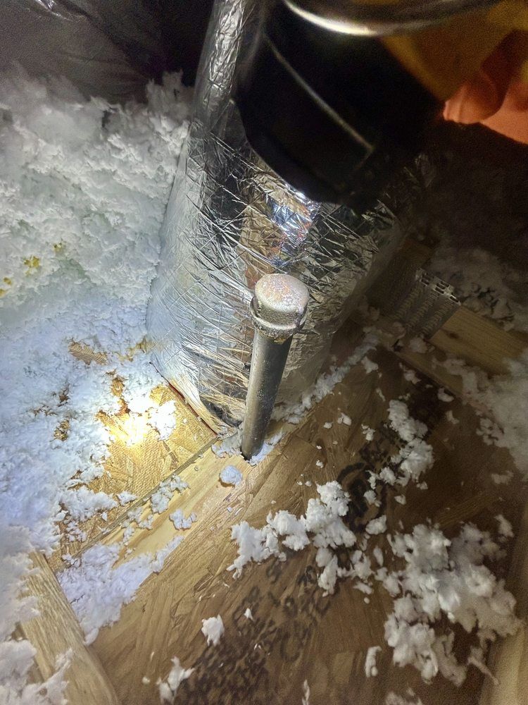 o (31)